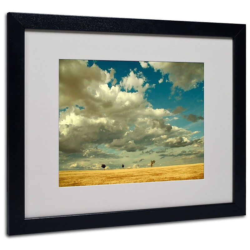 Trademark Fine Art 16" x 20" Acrylic Four Musketeers, Black Frame image 1