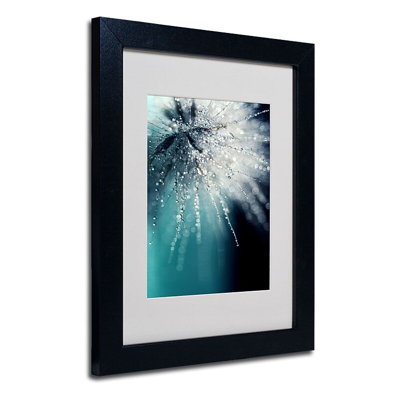 Trademark Fine Art 14" x 11" Acrylic Morning Sonata, Black Frame image 1