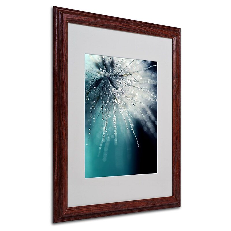 Trademark Fine Art 20" x 16" Canvas Morning Sonata, Wood Frame image 1