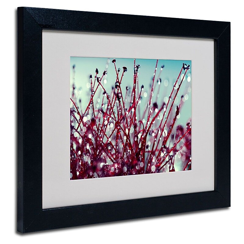 Trademark Fine Art 11" x 14" Acrylic Morning Tunes, Black Frame image 1