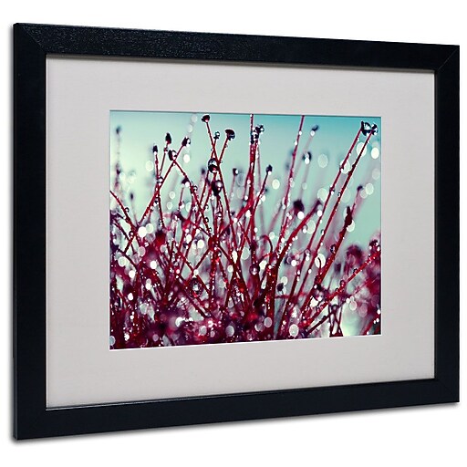 Trademark Fine Art 16" x 20" Acrylic/Canvas/Wood Matted Framed Art, Black Frame Staples