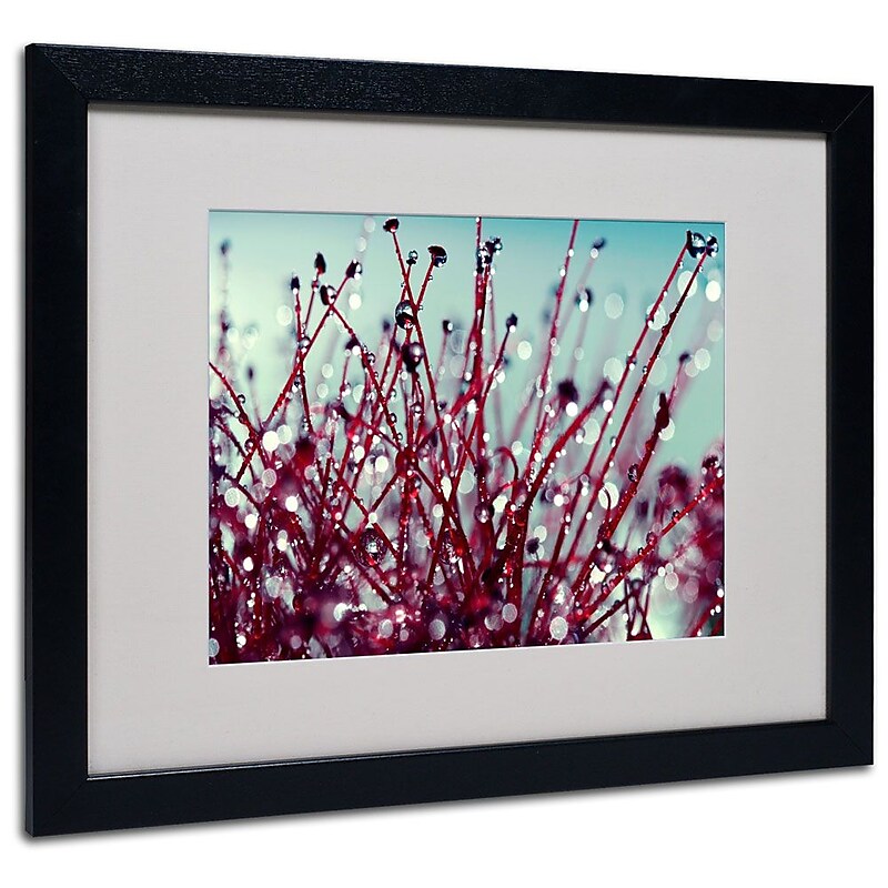 Trademark Fine Art 16" x 20" Acrylic/Canvas/Wood Matted Framed Art, Black Frame image 1