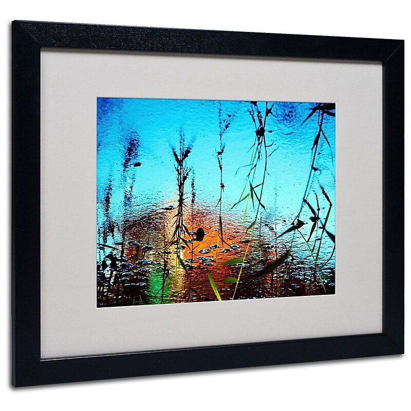 Trademark Fine Art 16" x 20" Acrylic Painted by Nature, Black Frame image 1