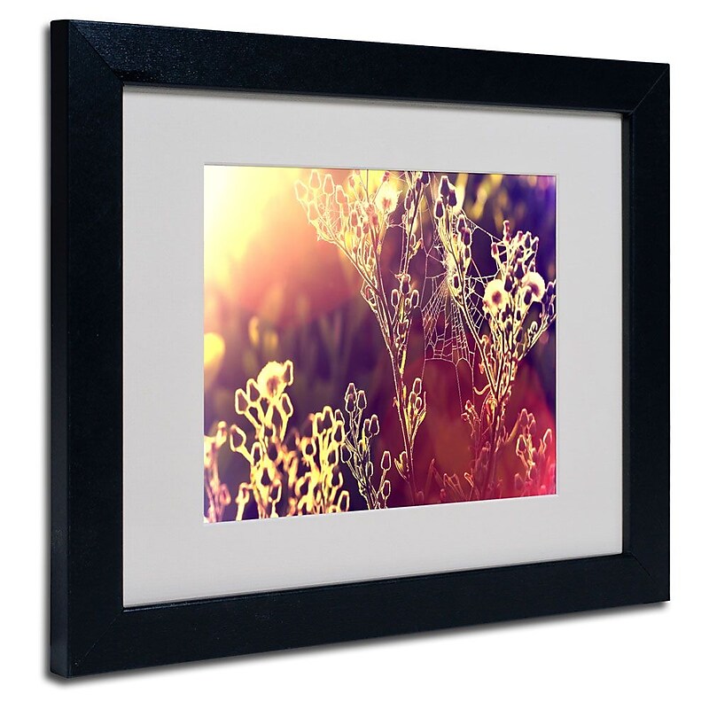 Trademark Fine Art 11" x 14" Painting Light, Black Frame image 1