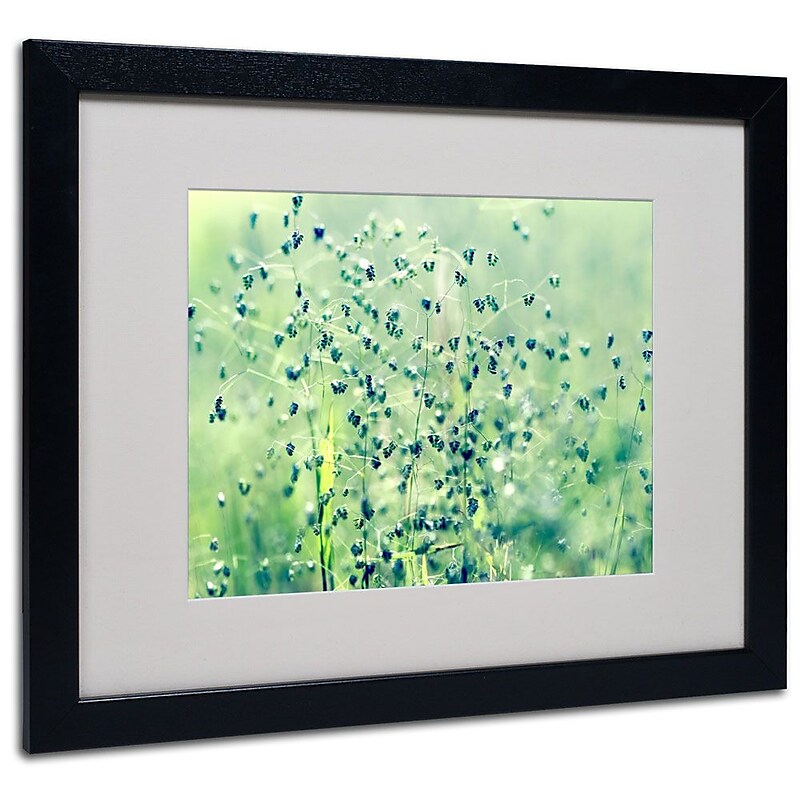 Trademark Fine Art 16" x 20" Acrylic Spring Notes, Black Frame image 1