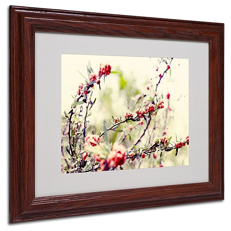 Trademark Fine Art 11" x 14" Acrylic Summer Melody, Wood Frame image 1