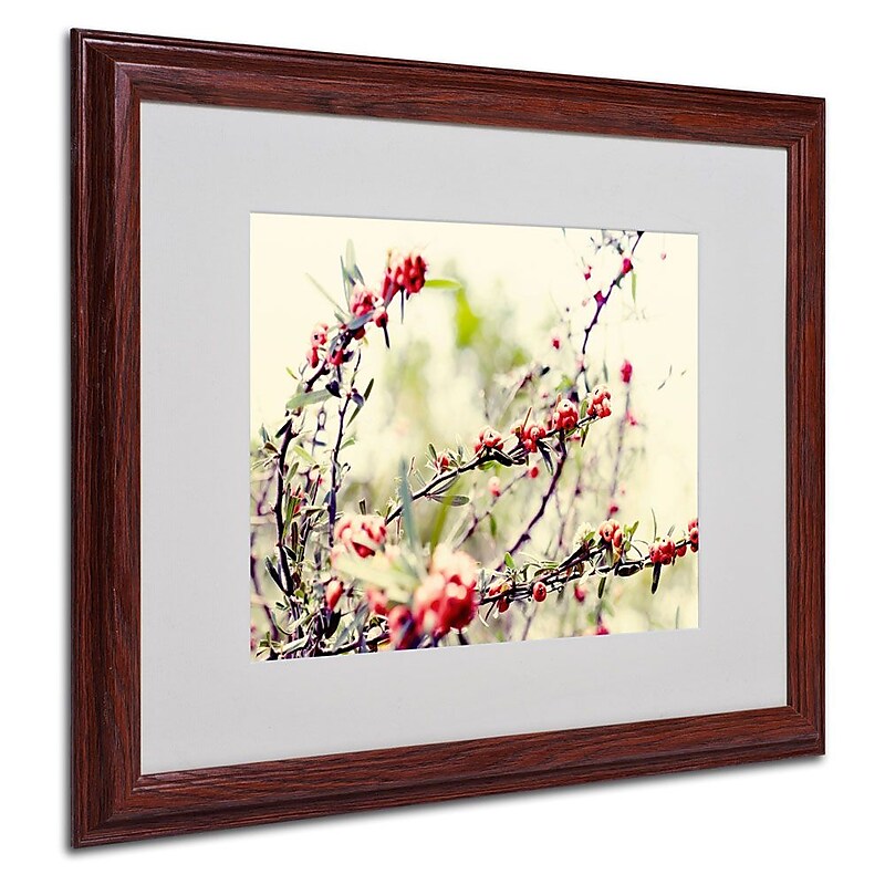 Trademark Fine Art 16" x 20" Acrylic Summer Melody, Wood Frame image 1