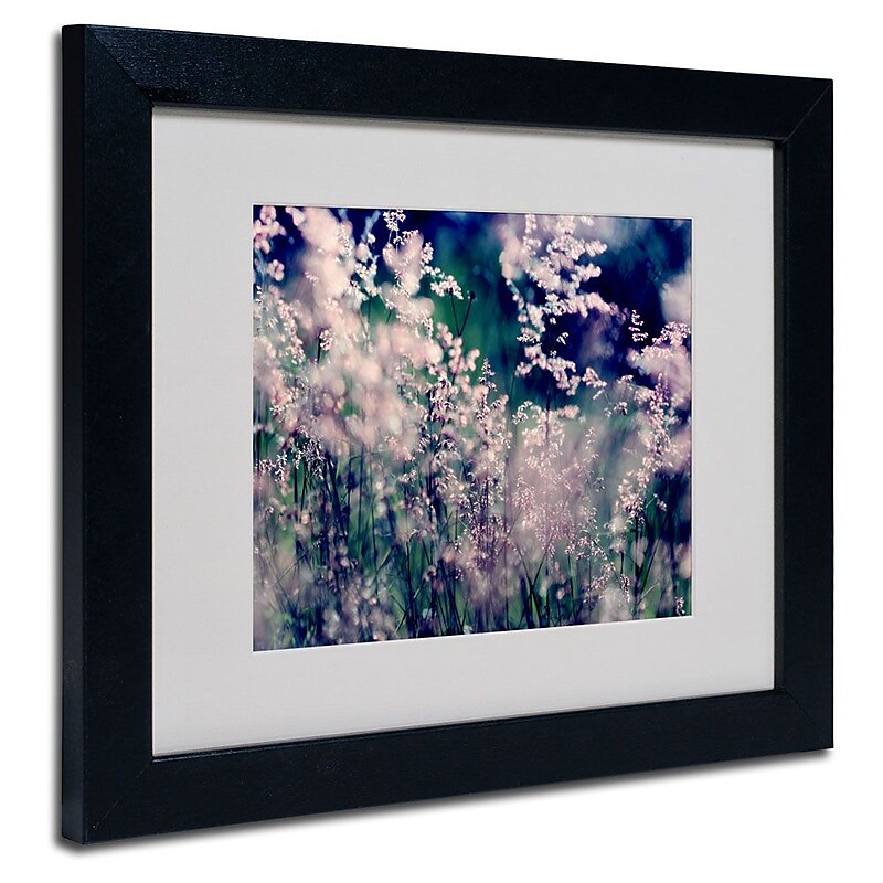 Trademark Fine Art 11" x 14" Acrylic Sweet Emotions, Black Frame image 1