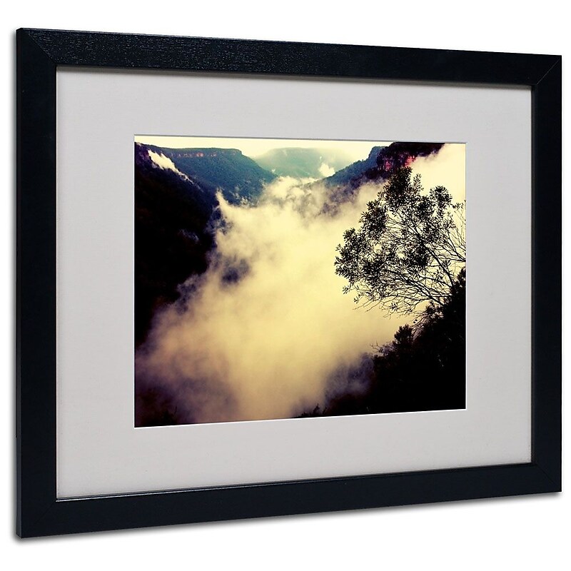 Trademark Fine Art 16" x 20" Acrylic Valley of Light, Black Frame image 1