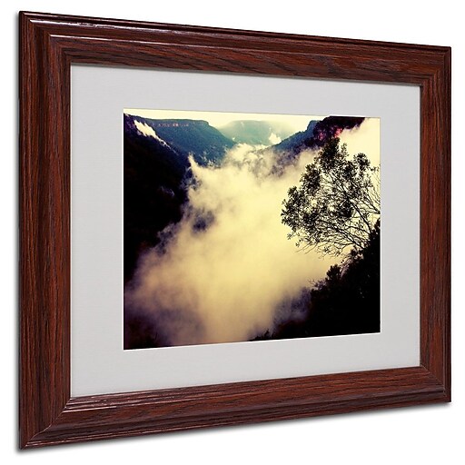 Trademark Fine Art 11" x 14" Acrylic/Canvas/Wood Framed Art, Wood Frame