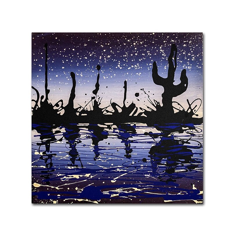 Trademark Fine Art 35" x 35" Wooden Frame Desert Lake image 1