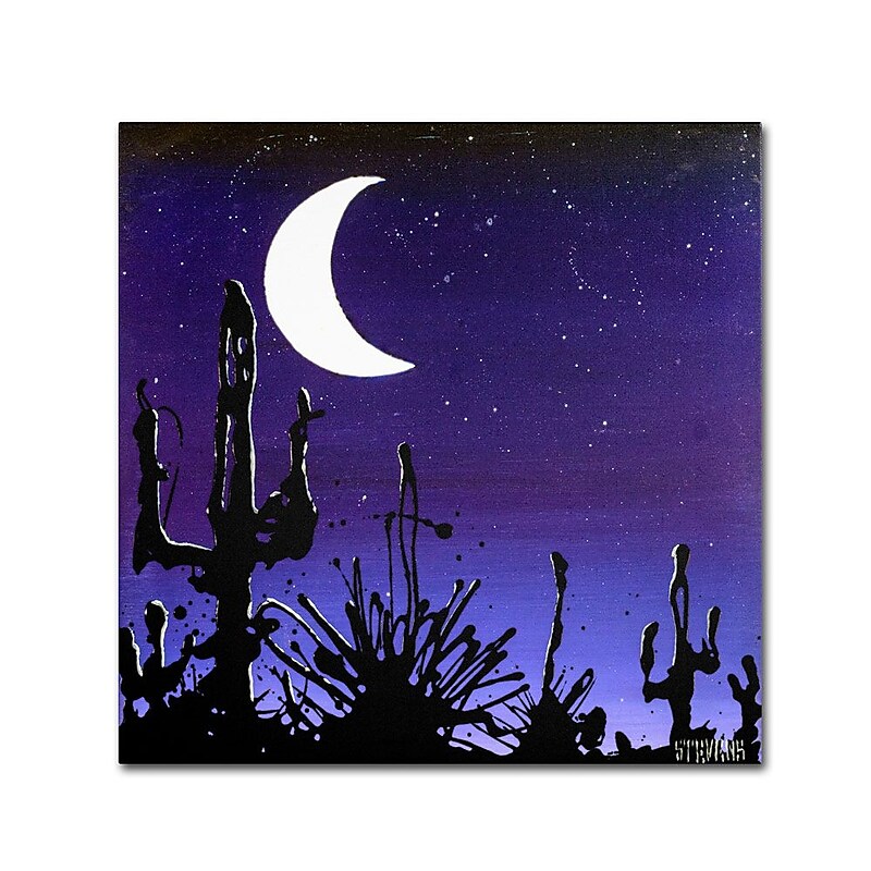 Trademark Fine Art 35" x 35" Wooden Frame Desert Moon image 1