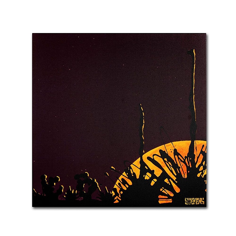 Trademark Fine Art 35" x 35" Wooden Frame Ocotillo Moonrise Artwork image 1