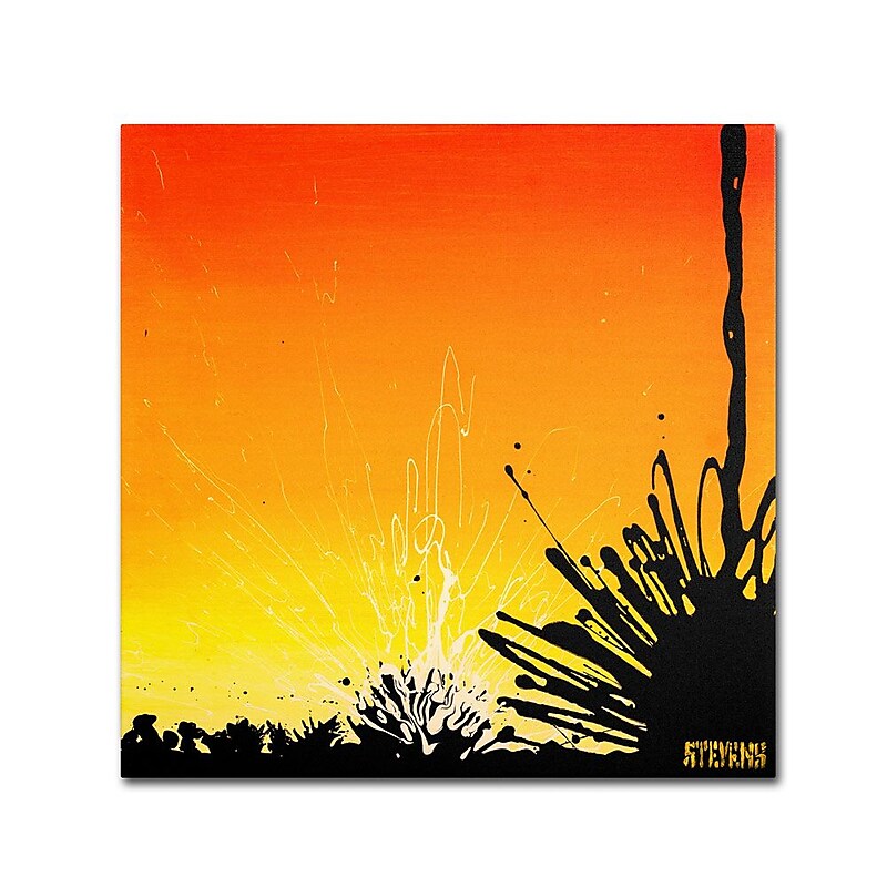 Trademark Fine Art 18" x 18" Wooden Frame Ocotillo Sunburst image 1