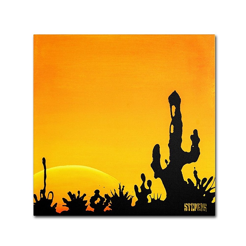 Trademark Fine Art 24" x 24" Wooden Frame Saguaro Sunset Artwork image 1
