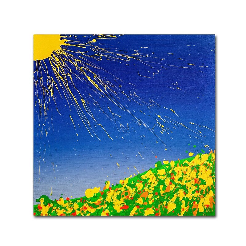 Trademark Fine Art 35" x 35" Wooden Frame Sunny Field image 1