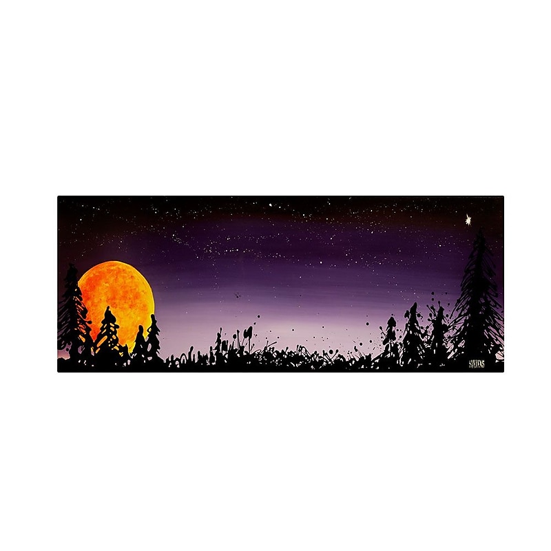 Trademark Fine Art 16" x 47" Wooden Frame Gallery-Wrapped Canvas Art image 1