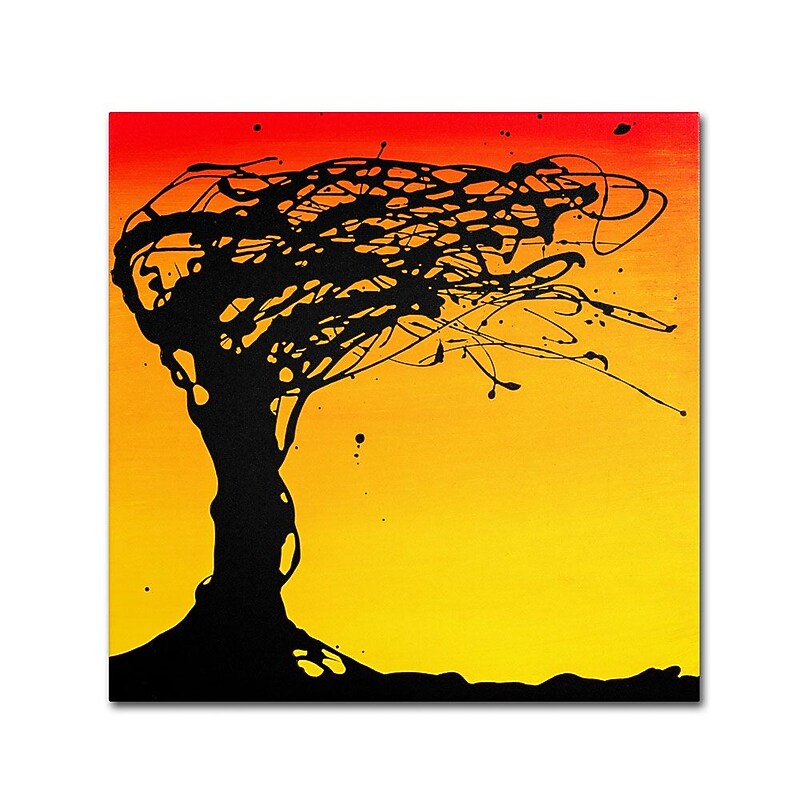 Trademark Fine Art 14" x 14" Wooden Frame Windblown Tree image 1