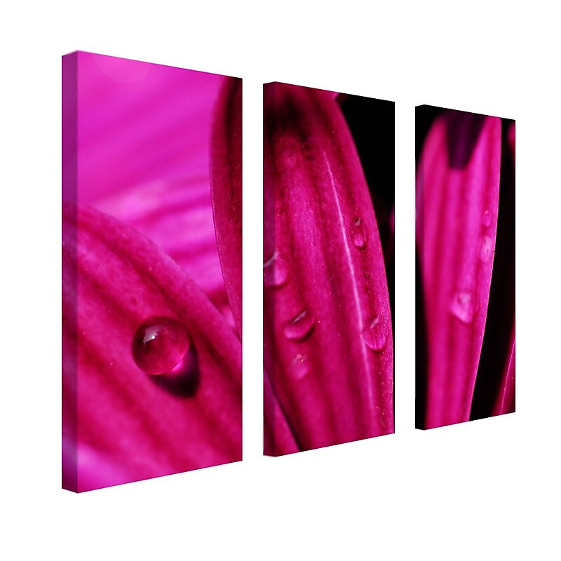 Trademark Fine Art 10" x 24" Wooden Frame Wall Art, Set/3 image 1