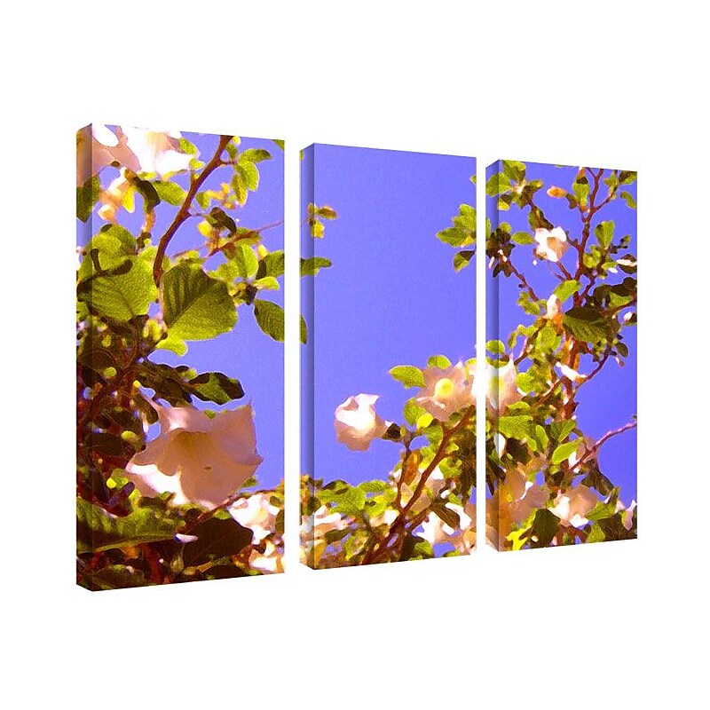 Trademark Fine Art 14" x 32" Wooden Frame Gallery-Wrapped Canvas Art, Set/3 image 1