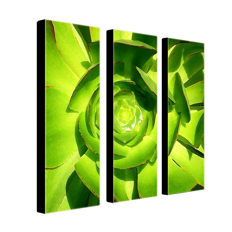 Trademark Fine Art 10" x 32" Canvas Gallery Wrapped, Set/3 image 1