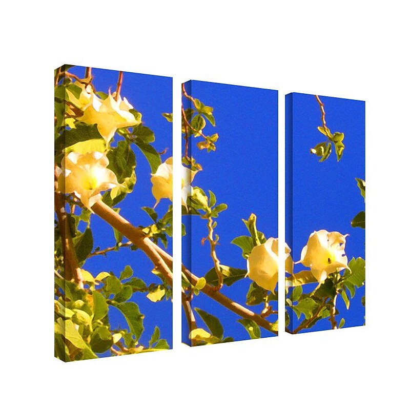 Trademark Fine Art 12" x 32" Wood Wall Art, Set/3 image 1