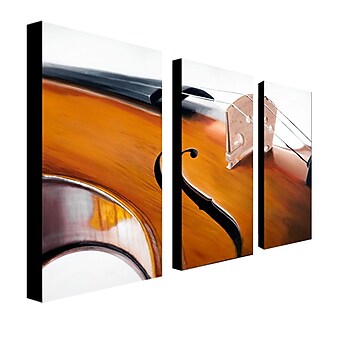 Trademark Fine Art 10" x 19" Wood Wall Art, Dozen/3