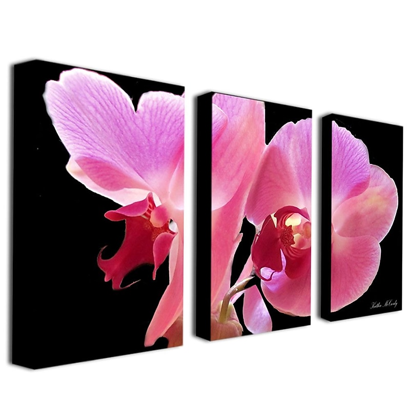 Trademark Fine Art 14" x 24" Canvas Gallery Wrapped Art, Set/3 image 1