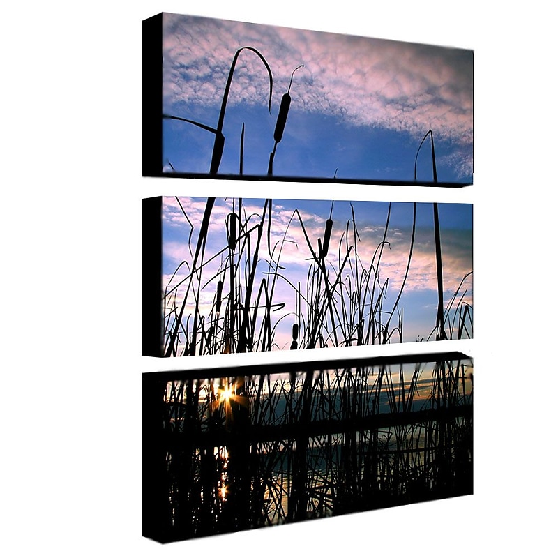 Trademark Fine Art 10" x 24" Canvas/Wood Gallery Wrapped Canvas Art, Set/3 image 1