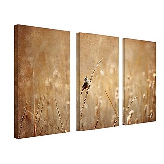 Trademark Fine Art 32" x 16" Canvas Wall Art, Set/3