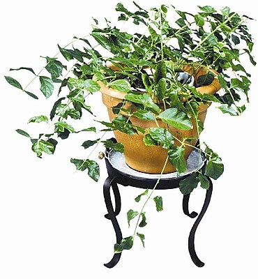 ACHLA Novelty Plant Stand; 11.75'' H x 11.75'' D