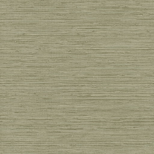 Inspired By Color™ Green Grasscloth Wallpaper, Green With Gray | Staples