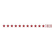 Tyvek® 3/4" x 10" Stars Wristband, Red/White