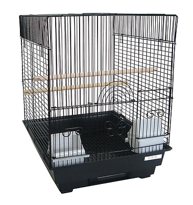 Bird Supplies