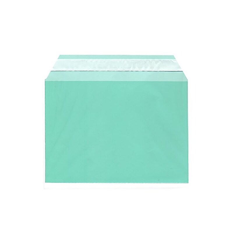 JAM Paper Cellophane Envelope with Self-Adhesive Closure, 5.0625 x 7.1875, Green, 100/Pack (2783135) image 1