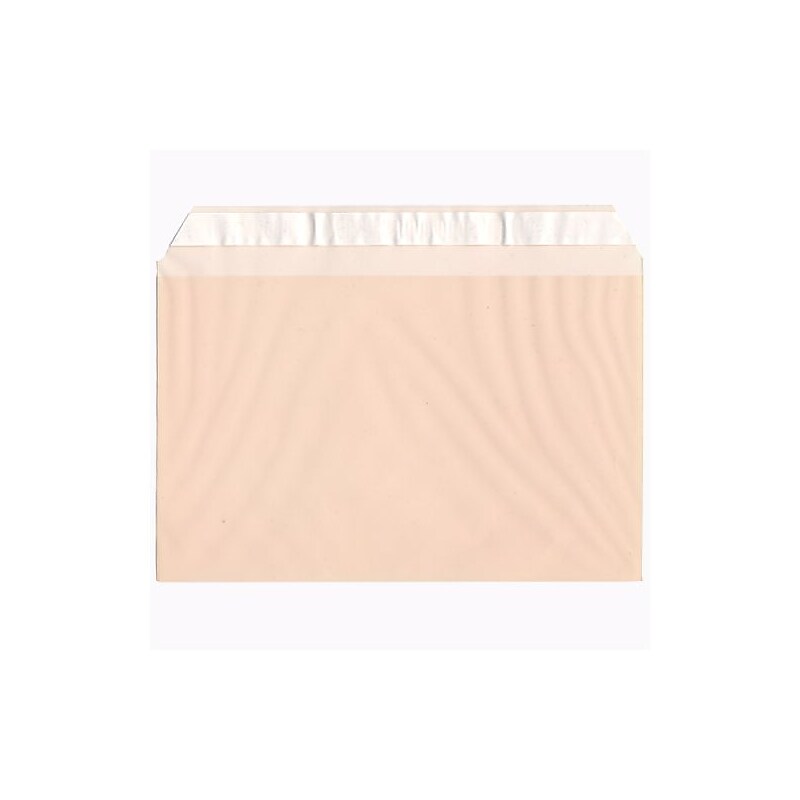 JAM Paper Cellophane Envelope with Self-Adhesive Closure, 5.4375 x 8.625, Peach, 100/Pack (2783142) image 1