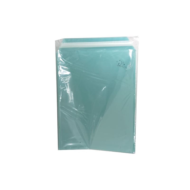 JAM Paper Cellophane Envelope with Self-Adhesive Closure, 8.9375 x 11.25, Aqua Blue, 100/Pack (811BL1) image 1