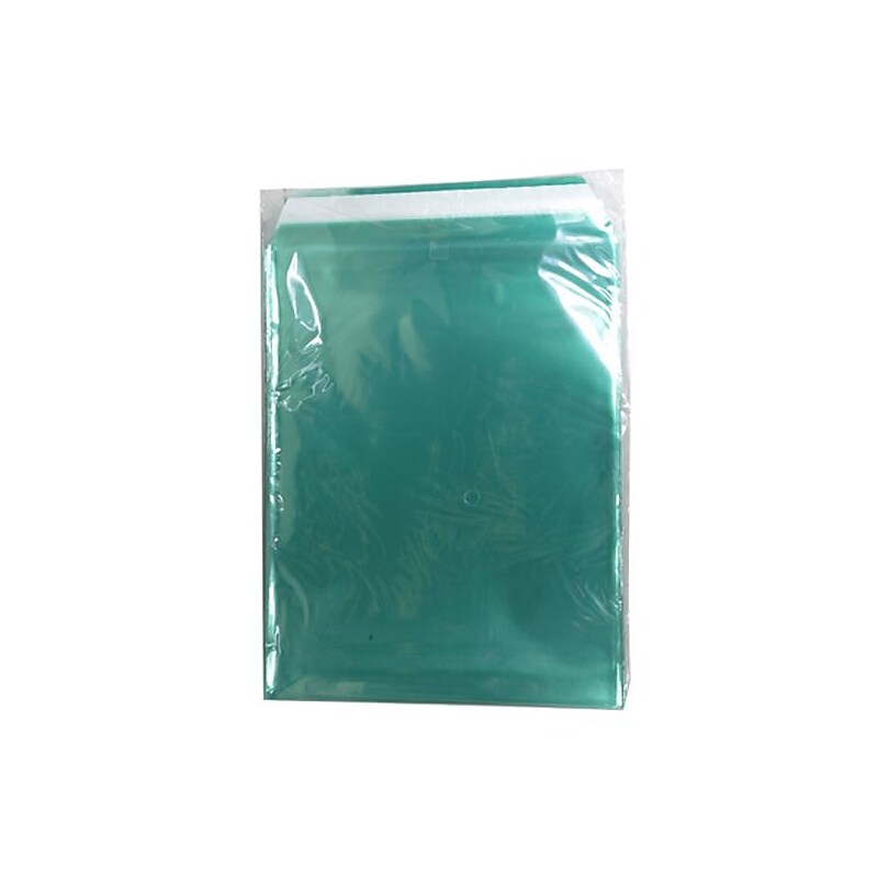 JAM Paper Cellophane Envelope with Peel & Seal Closure, 8.9375 x 11.25, Green, 100/Pack (2783699) image 1