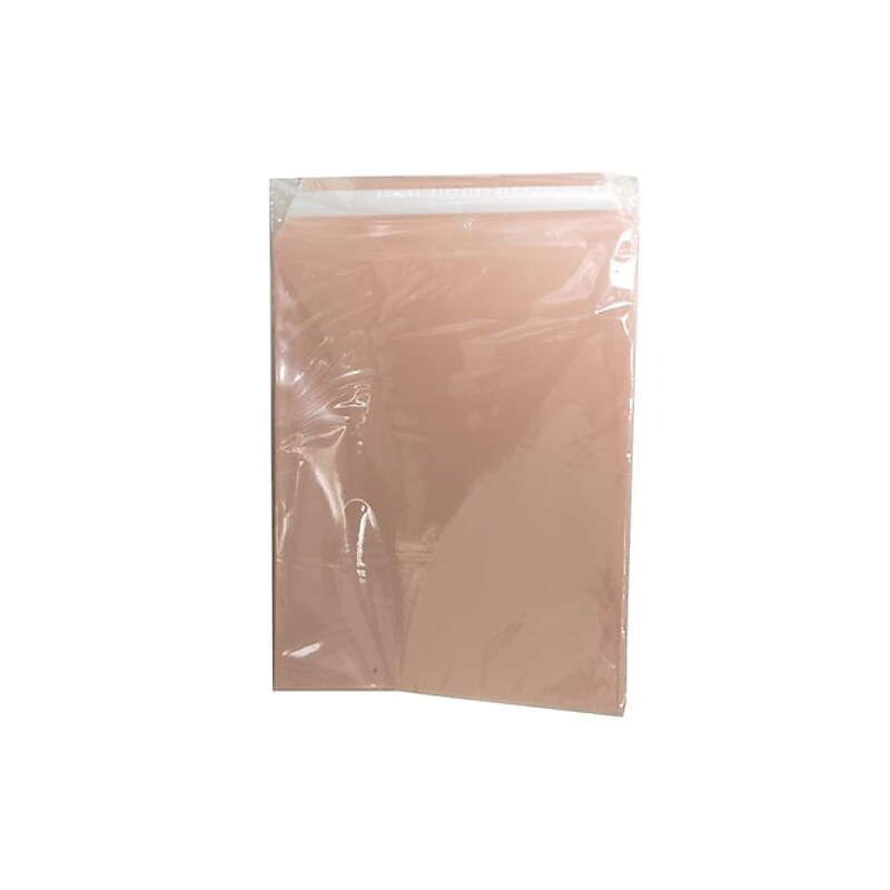 JAM Paper Cellophane Envelope with Self-Adhesive Closure, 8.9375 x 11.25, Peach, 100/Pack (2783725) image 1