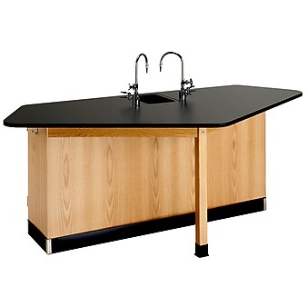 DWI Student Workstation with Sink 36"H x 88"W x 46"D Epoxy, Oak Wood