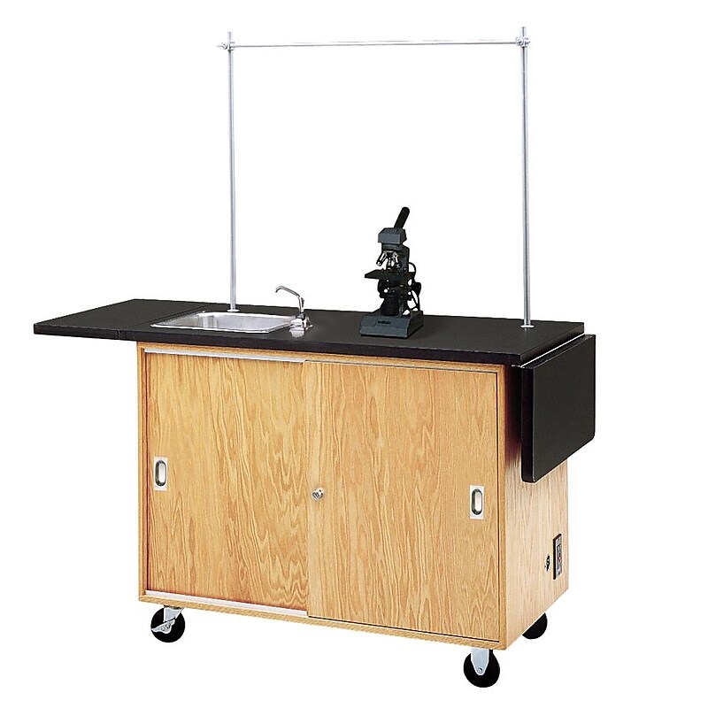 DWI Lab Table Rectangular Science Table, 48" x 24", Brown (4121K) image 1