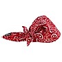 Chill-Its 6710 Evaporative Cooling Towel, Red Western, One Size, 6/Carton (12583)~#|#~m001012482_sc7