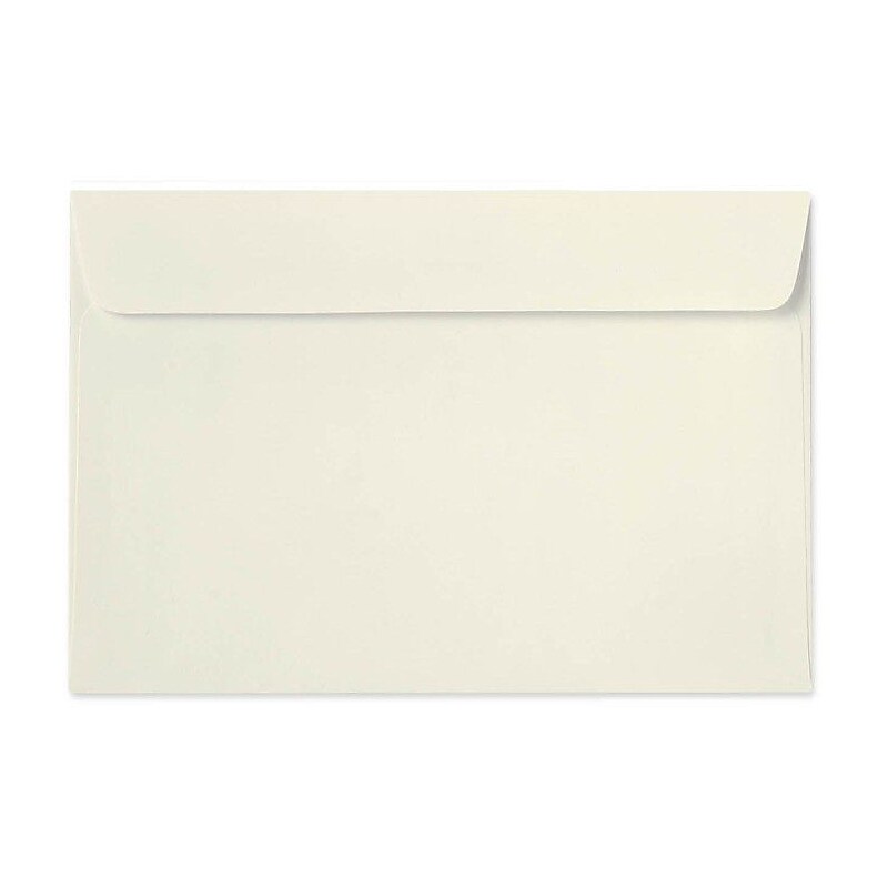 LUX 6 x 9 Booklet Envelopes, 1000/Box, Natural Linen (4820-NLI-1000) image 1