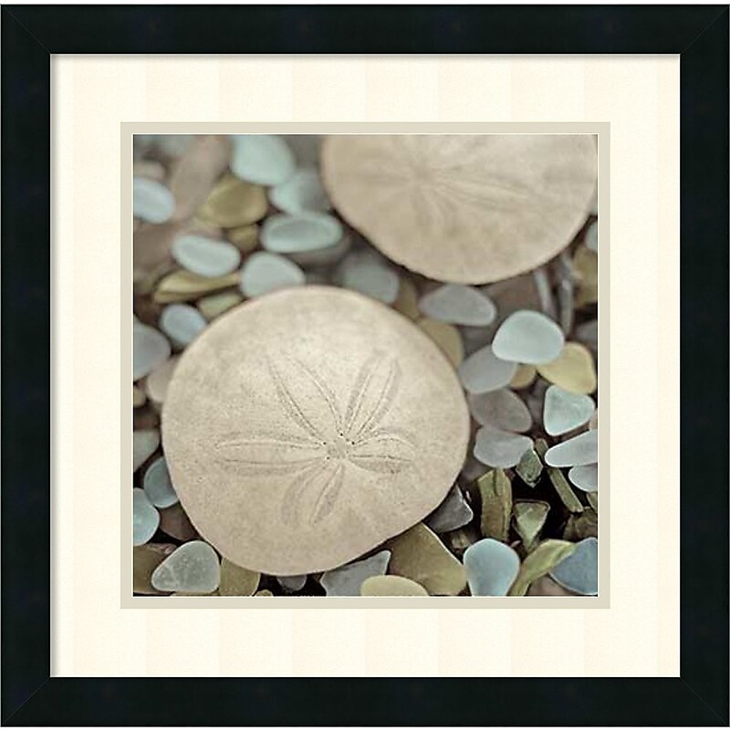 Amanti Art "Aquatic 2" Framed Art by Alan Blaustein image 1