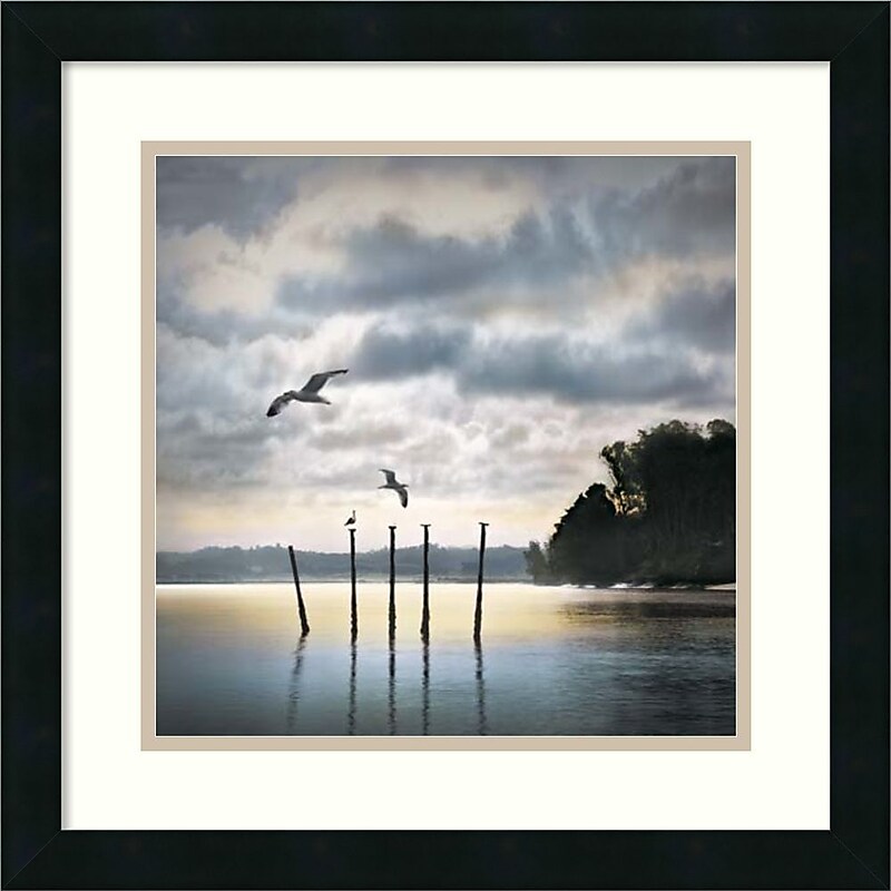 Amanti Art "Circling Skies" Framed Art by William Vanscoy image 1