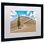 Trademark Pierre Leclerc "Cinder Cone" Art, White Matte With Black Frame, 16" x 20"~#|#~m001283594_sc7