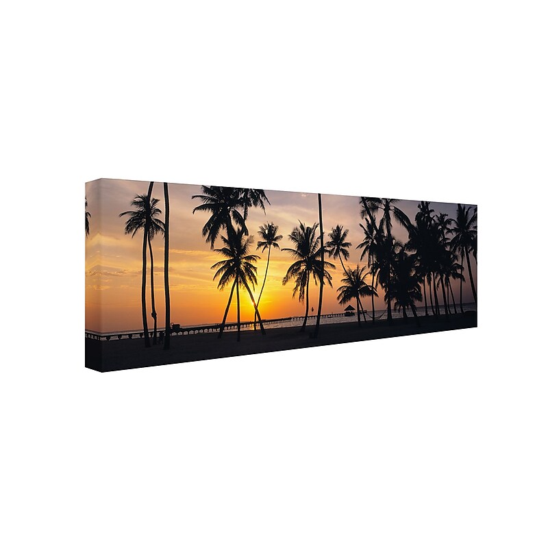 Trademark David Evans "Palm Dream" Gallery-Wrapped Canvas Art, 6" x 19" image 1