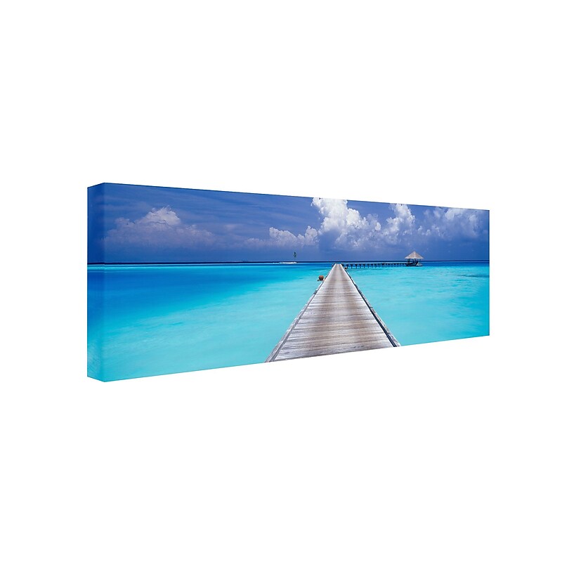 Trademark David Evans "Paradise Walk" Gallery-Wrapped Canvas Art, 6" x 19" image 1