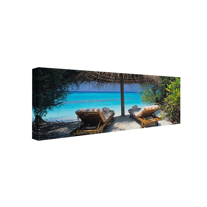 Trademark David Evans "Seclusion" Gallery-Wrapped Canvas Art, 8" x 24" image 1