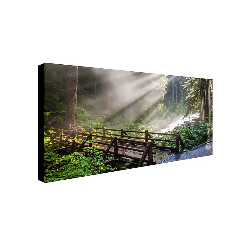 Trademark Pierre Leclerc "Forest Sunlight" Gallery-Wrapped Canvas Art, 24" x 47" image 1